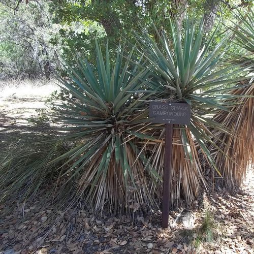 Grass Shack