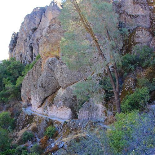 Tunnel Trail