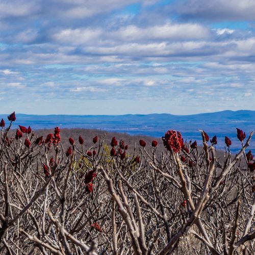 Beagle Gap Overlook