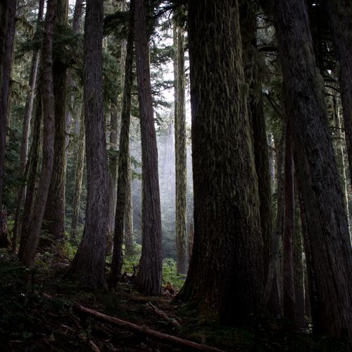 Spray Park Trail