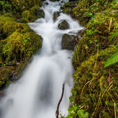 Charlia Lakes Trail