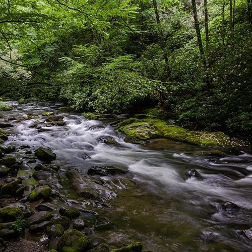 Oconaluftee
