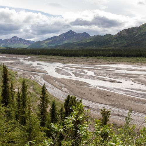 Teklanika River Viewpoint