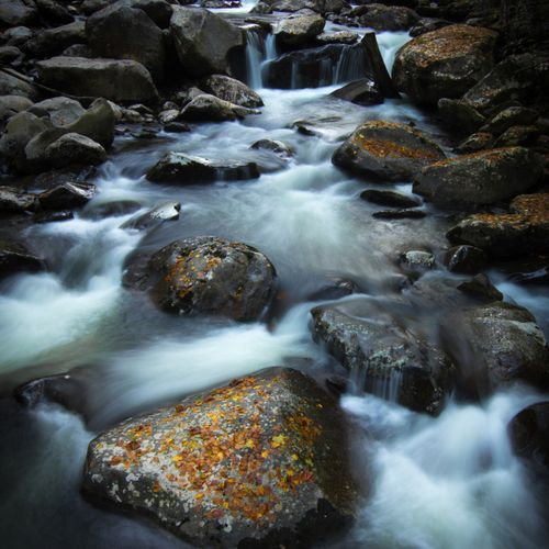 Ramsey Cascades Trail