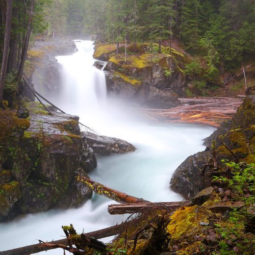 Silver Falls Loop
