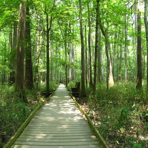 Boardwalk Loop