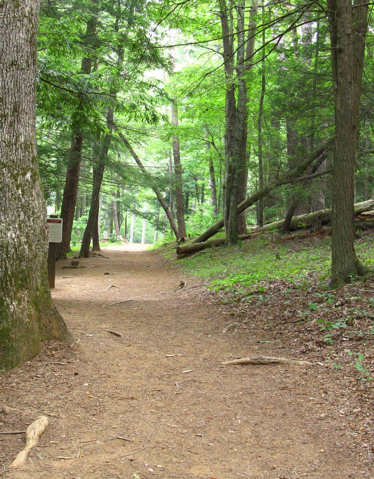 Rich Mountain Loop, Great Smoky Mountains National Park