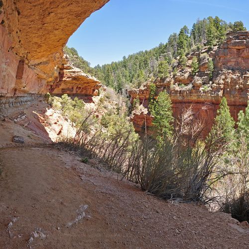 Cliff Spring Trail