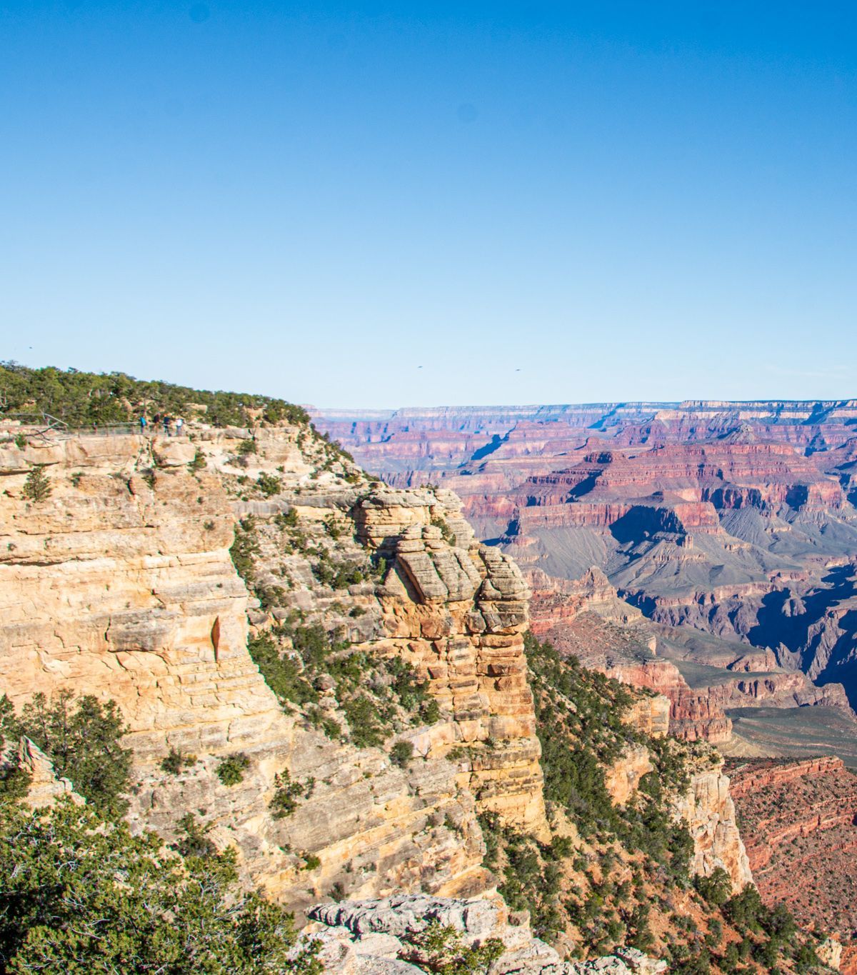 South Rim Shuttles, Entrances and Gateway Towns, Grand Canyon National Park