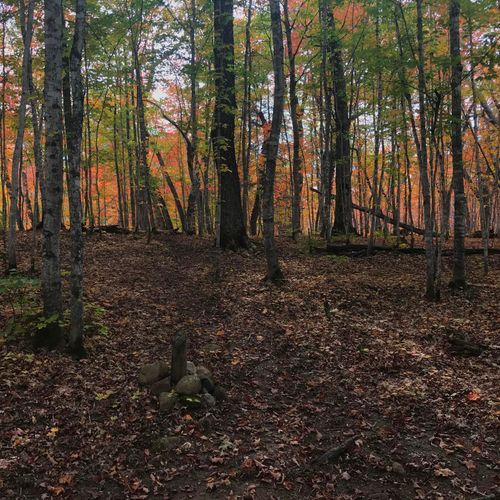 Island Mine Campground
