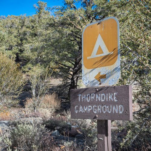 Thorndike Campground (Primitive)