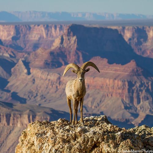 Lipan Point
