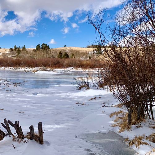 Little Horseshoe Park Trail
