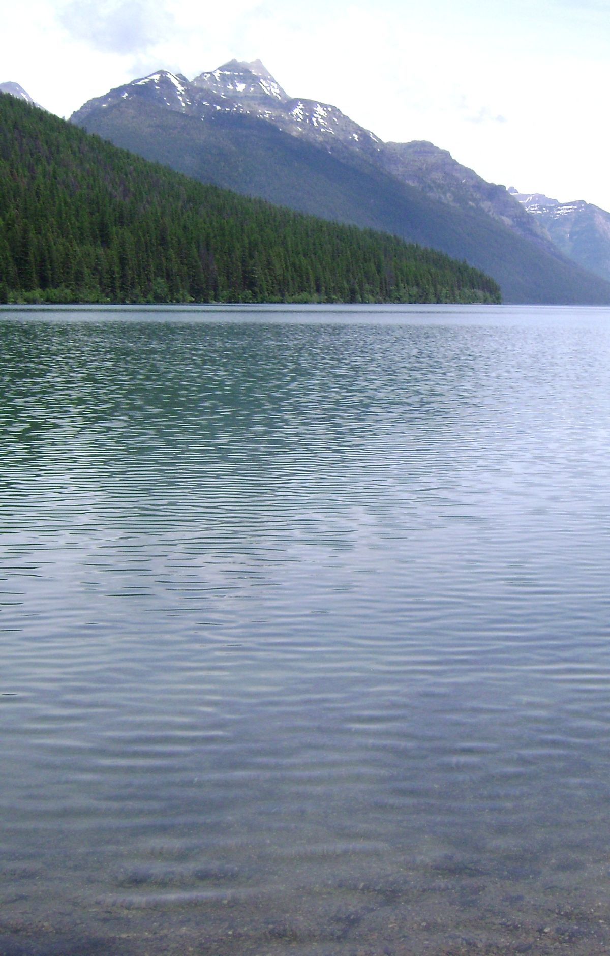 Bowman Lake, Glacier National Park