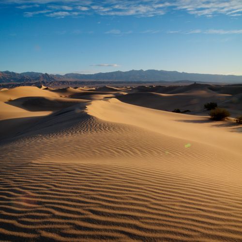 Mesquite Dunes