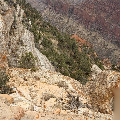 Viewpoint