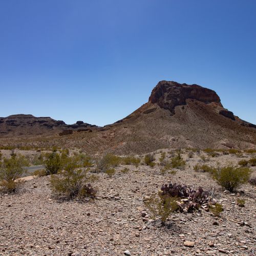 Viewpoint