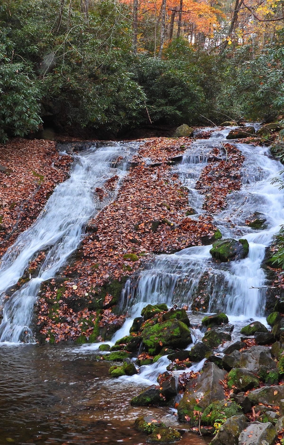 Indian Creek Trail, Great Smoky Mountains National Park