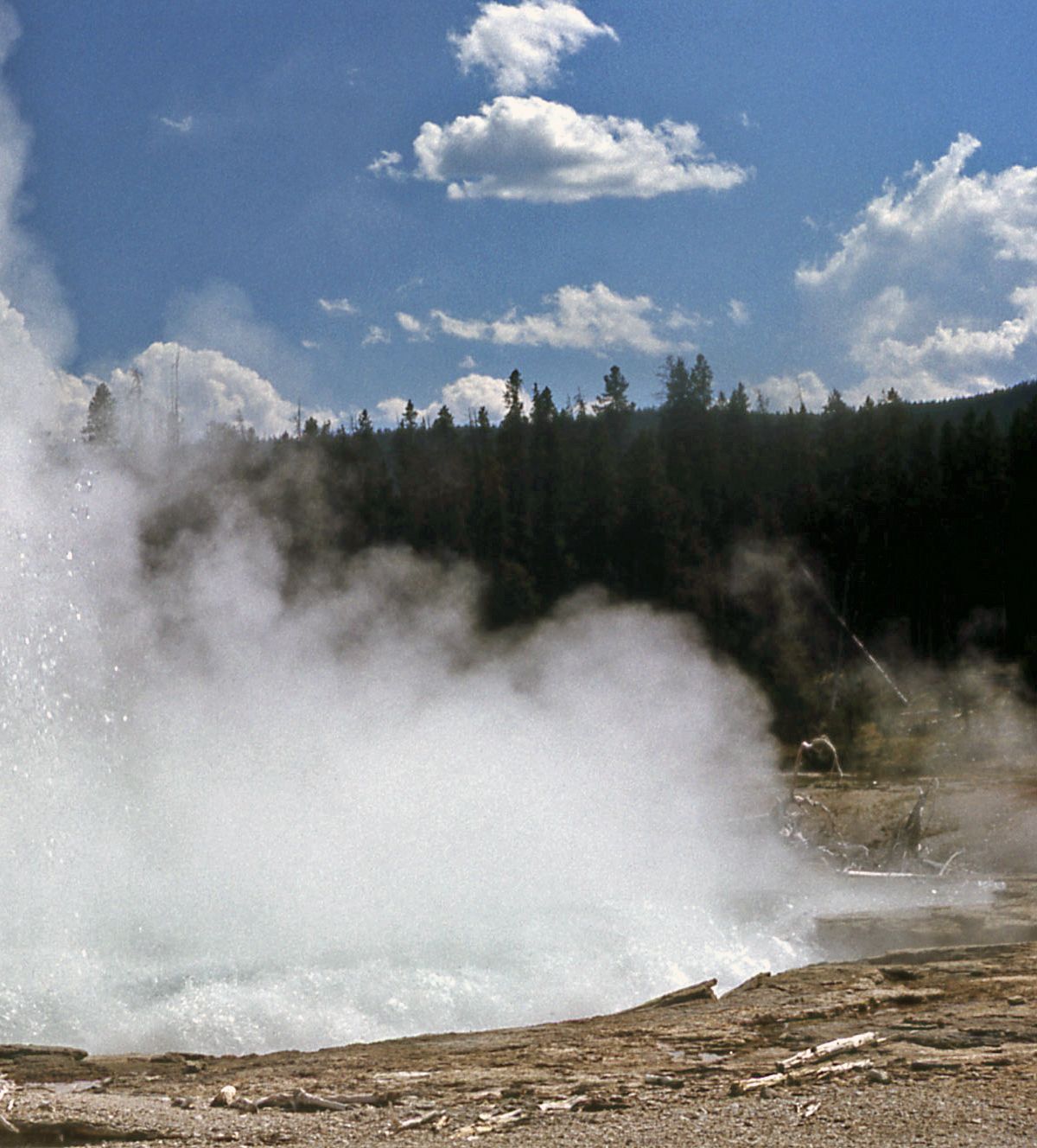 Upper Geyser Basin Trail, Yellowstone National Park