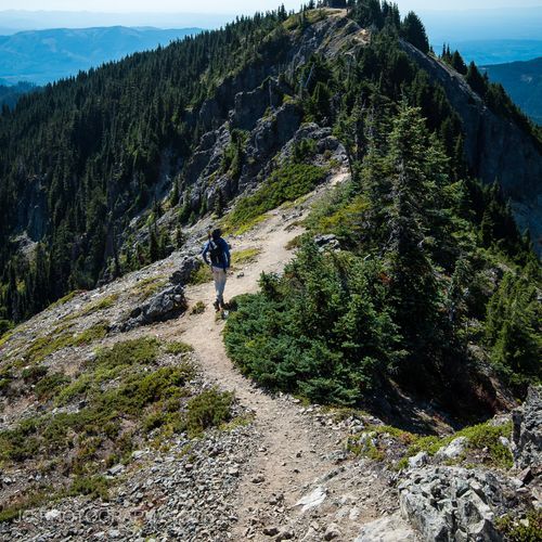 Tolmie Peak Lookout