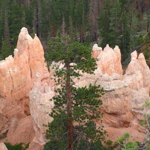 Farview Point