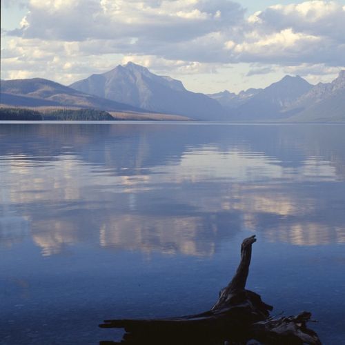 Lake McDonald Trail