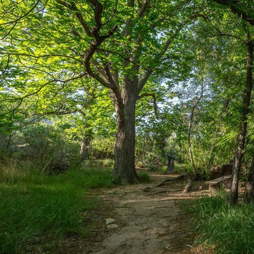 Sam Nail Ranch Trail