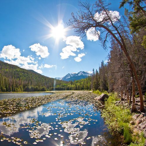 Cub Lake Trail