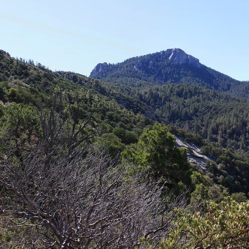 Rincon Creek Trail