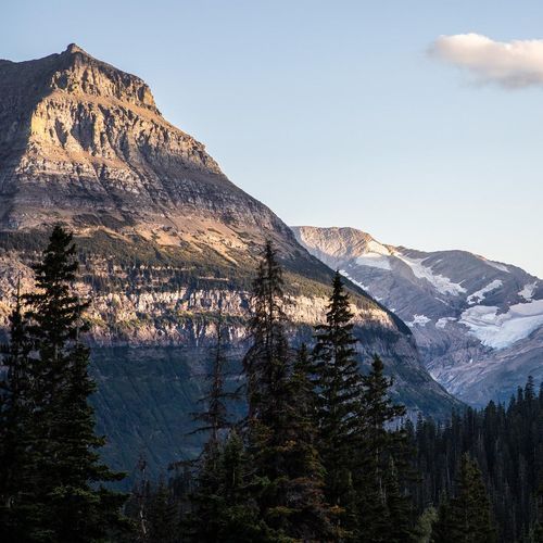 Jackson Glacier