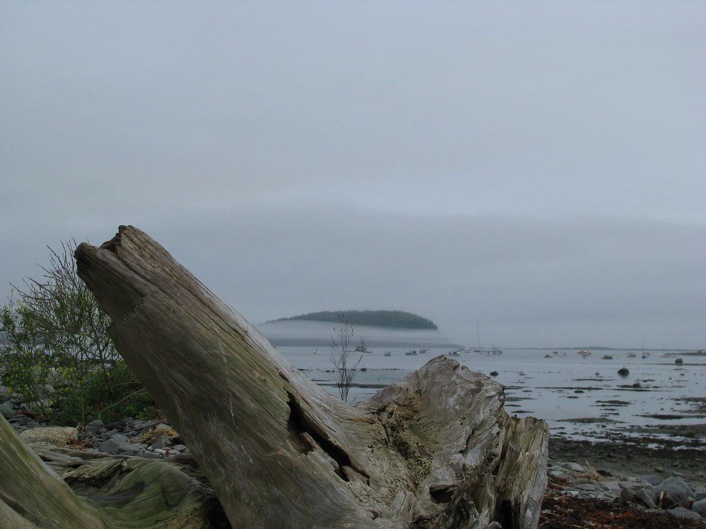 Bar Island Trail, Acadia National Park