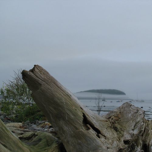 Bar Island Trail