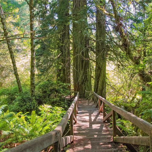 California Coastal Trail - Klamath Section
