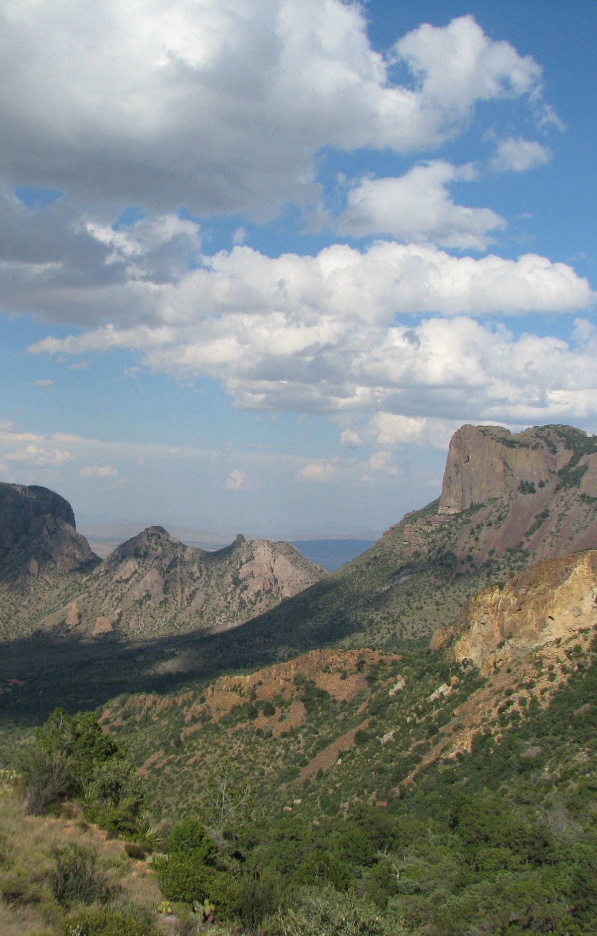 Laguna Meadows Trail, Big Bend National Park