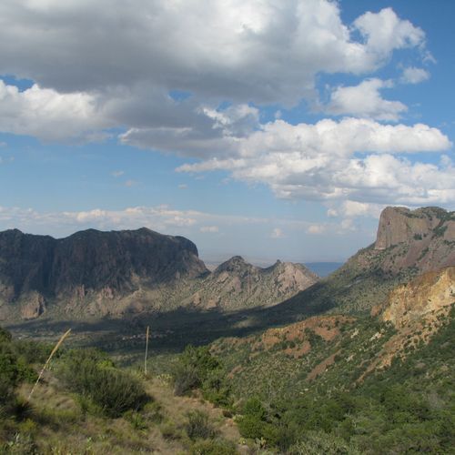 Laguna Meadows Trail