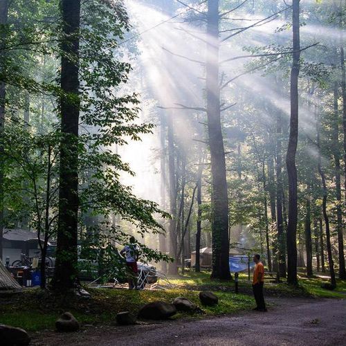 Elkmont Campground