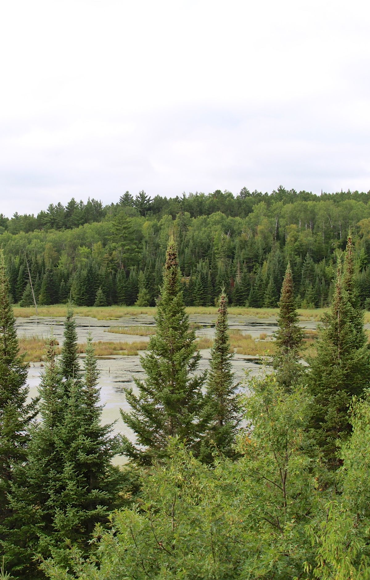 Kabetogama's Trails: Locator Lake to Blind Ash, Voyageurs National Park
