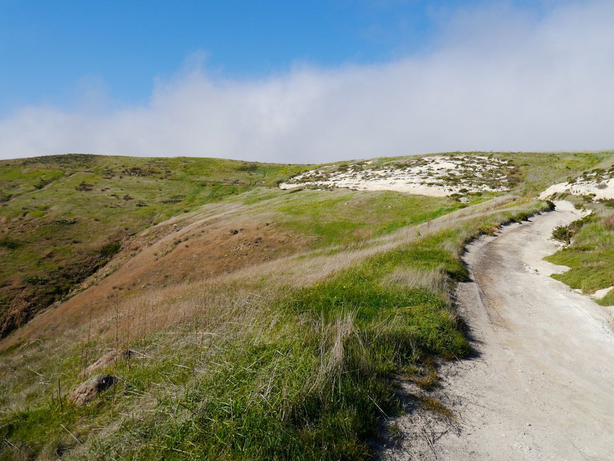 Scorpion Canyon Loop Trail, Channel Islands National Park