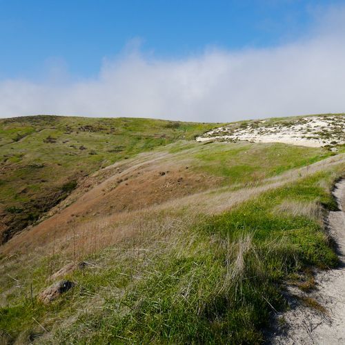 Scorpion Canyon Loop Trail