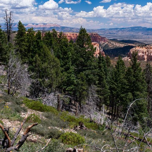 Whiteman Connecting Trail