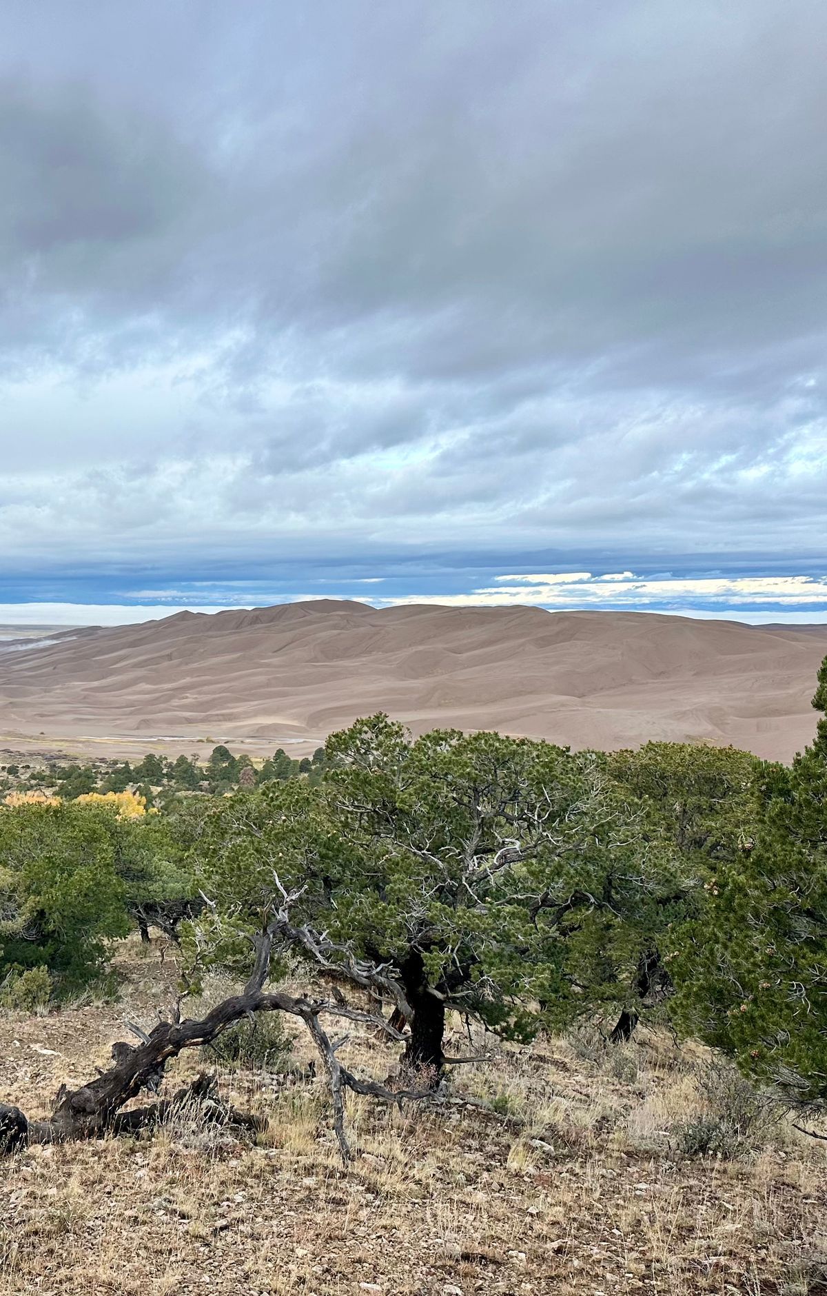 P.E.O. Sisterhood and the 1932 Dunes Monument, Great Sand Dunes National Park & Preserve