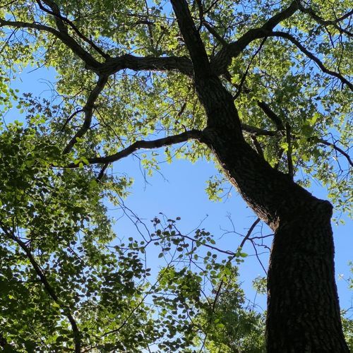 Calumet Dunes Trail