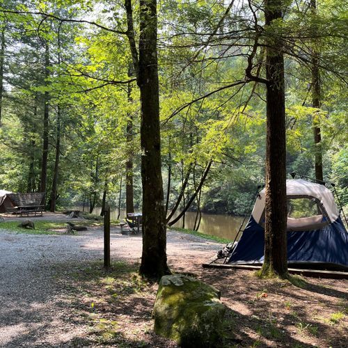 Abrams Creek Campground