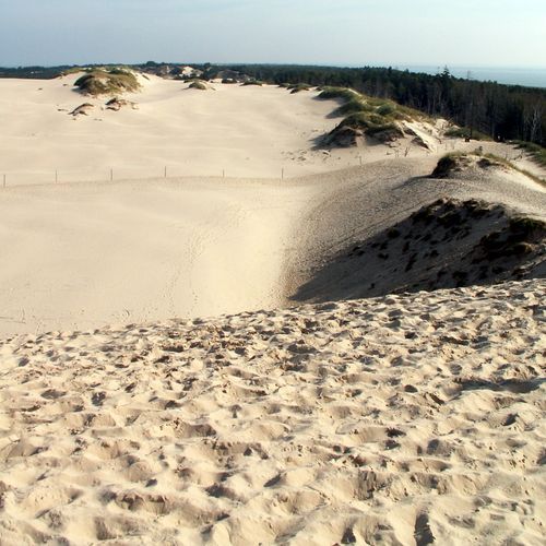 Dune Succession Trail
