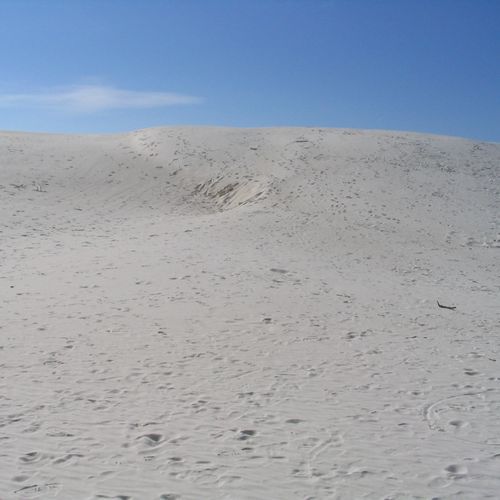 Playa Trail