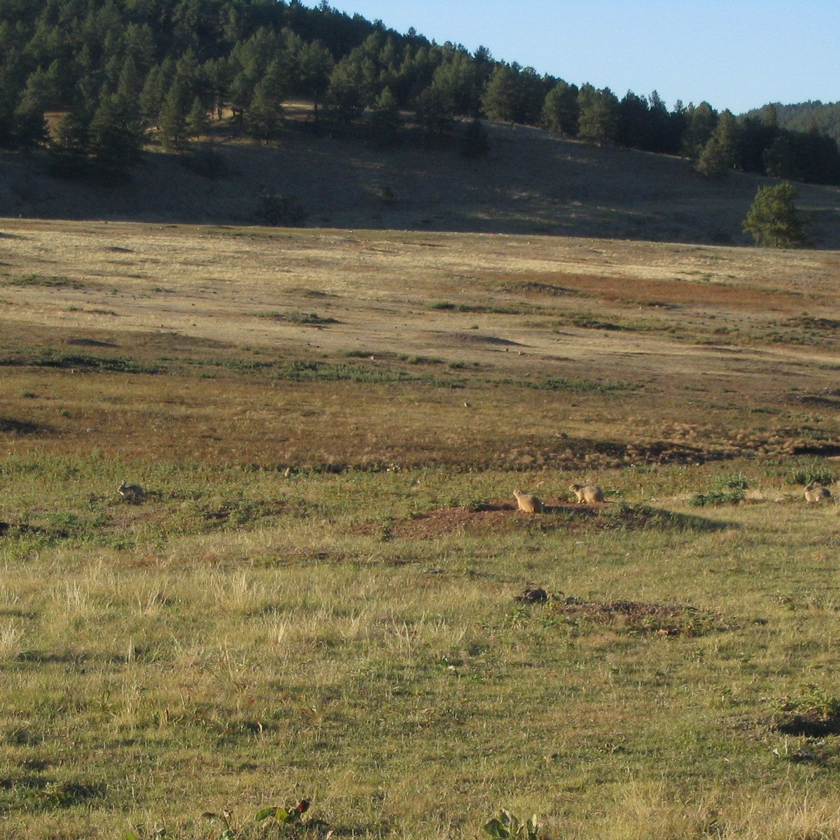 Prairie Vista Trail, Wind Cave National Park