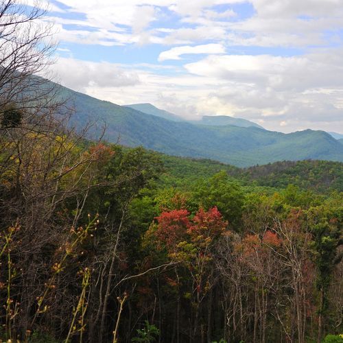 Sugarlands Valley Nature Trail