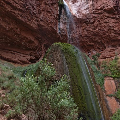 Ribbon Falls