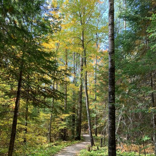 Echo Bay Hiking Trail