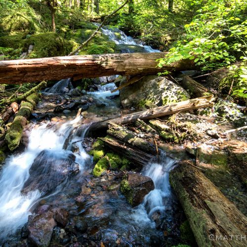 Laughingwater Creek Trail